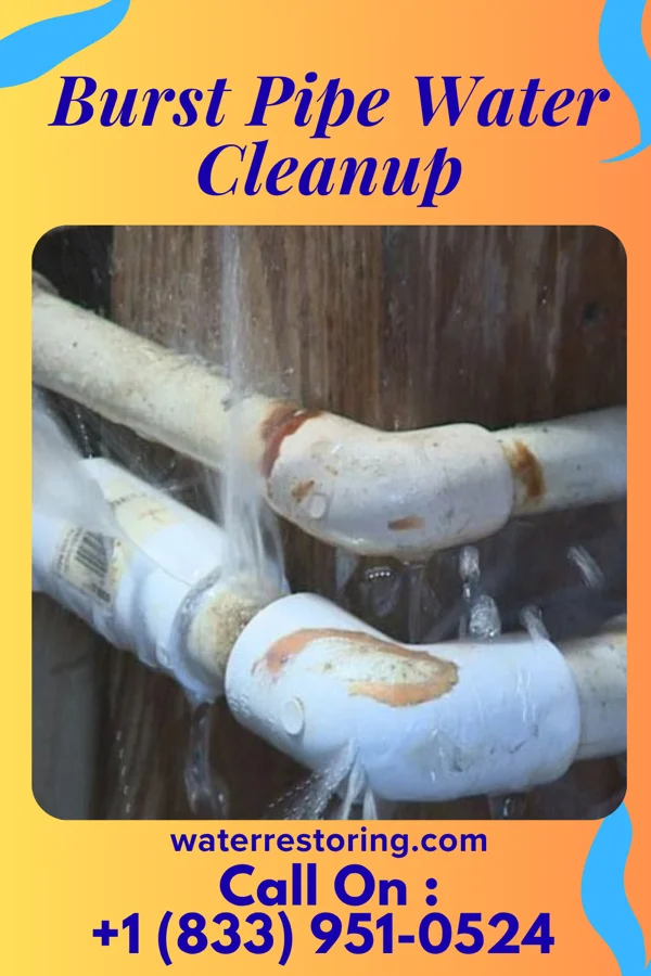 Burst Pipe Water Cleanup in Ottawa, IL
