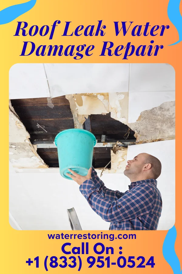 Roof Leak Water Damage Repair in Ottawa, IL
